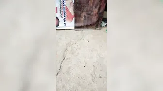 Slum Couple Getting Caught Fucking Outdoors By Hidden Voyeur