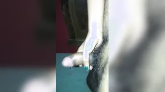 Telugu Wife Riding Her Man Recorded On Selfie Camera At Night