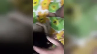 Bengali Couple Fucking Passionately In Their Small Bedroom