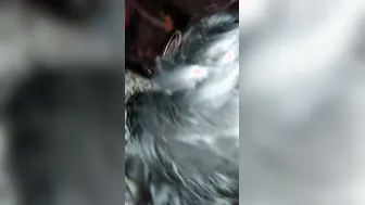 BF Sucking And Playing With His Busty GF's Tits