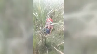 Bihari Couple Caught Fucking Outdoors In This Voyeur Leaked Clip