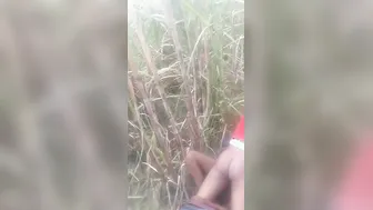 Bihari Couple Caught Fucking Outdoors In This Voyeur Leaked Clip