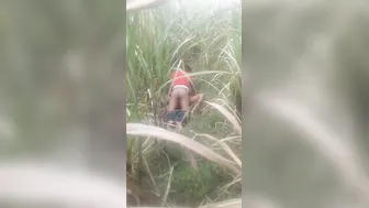 Bihari Couple Caught Fucking Outdoors In This Voyeur Leaked Clip
