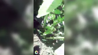 Hairy Pussy Desi Babe Getting Fucked Hard In Outdoor Location