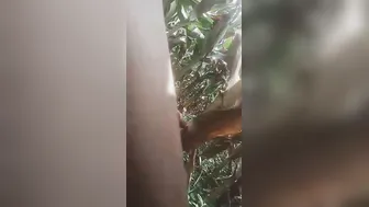 Married Bhabhi Sneaking Off To Jungle For Secret Rough Session