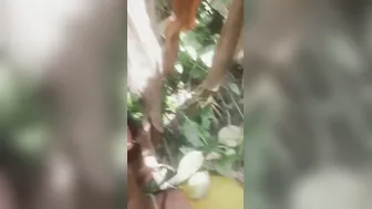 Married Bhabhi Sneaking Off To Jungle For Secret Rough Session