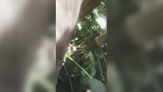 Married Bhabhi Sneaking Off To Jungle For Secret Rough Session