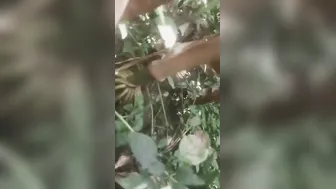 Married Bhabhi Sneaking Off To Jungle For Secret Rough Session
