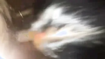 Wife On Her Knees Sucking Husbands Long Thick Cock Like A Slut