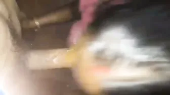 Wife On Her Knees Sucking Husbands Long Thick Cock Like A Slut