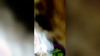 First Time Village Couple Having Outdoor Sex In Hidden Fields