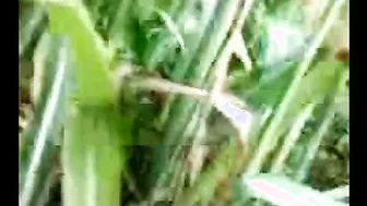 Shy Village Babe Getting Naked Outdoors In Private Recording