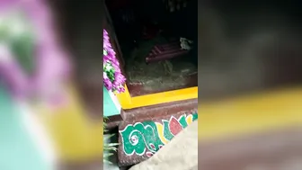 Telugu Aunty Getting Drilled In Secret Affair Caught On Tape