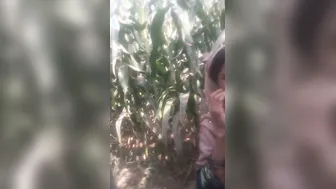 Village Aunty Getting Pounded Outdoors By Neighbor In The Field