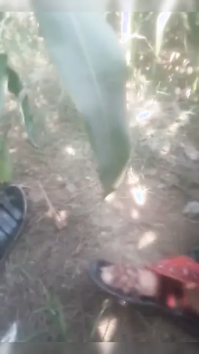 Village Aunty Getting Pounded Outdoors By Neighbor In The Field