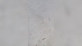 Shy Aunty Getting Fucked Outside By Neighbor Behind The House
