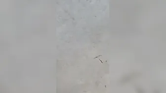 Shy Aunty Getting Fucked Outside By Neighbor Behind The House