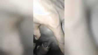 Young Married Couple Having Rough Sex Filmed On Their Phone Cam