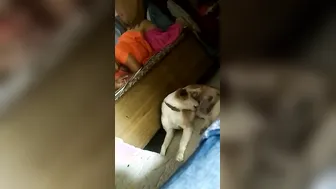 Curvy Married Woman Sharing Her Private Sex Tape With Lover