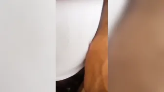 Horny Bhabhi Riding Cock In Backseat Of Car Caught On Camera