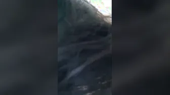 Busty Bangladeshi Babe Showing Off Her Curves In Leaked Footage