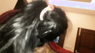 GF Sucking Her Lovers Cock Passionately In Bedroom Video
