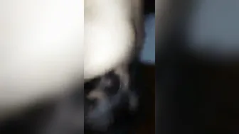 Pakistani GF Getting Pounded Hard In Leaked Private Video