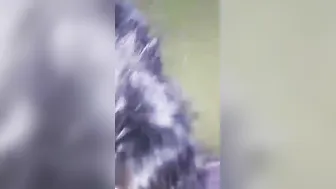 Unseen Mature Indian Milf Getting Fucked In Leaked Video