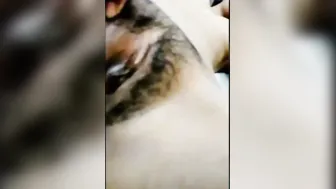 GF Sending Me Hot Naked Selfie Clips From Her Bedroom