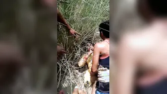 Local Prostitute Taking It Rough Outside In Leaked Sex Video