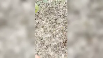 My Horny GF Getting Fucked Hard In Our Neighborhood Area