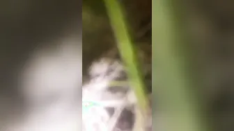 Village GF Getting Fucked Outside In Risky Encounter