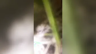 Village GF Getting Fucked Outside In Risky Encounter