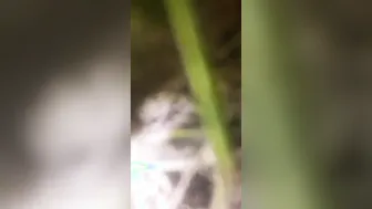 Village GF Getting Fucked Outside In Risky Encounter