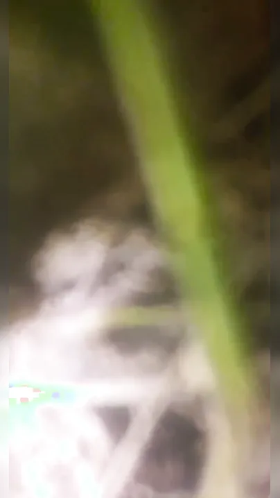 Village GF Getting Fucked Outside In Risky Encounter