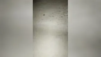 Hot Lankan GF Getting Her Pussy Fucked On Mobile Clip