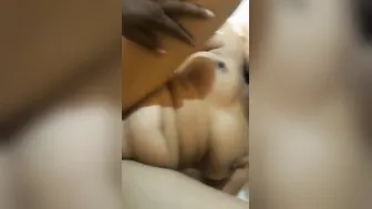 Married Woman Getting Pounded Hard Leaked Homemade Sex Tape
