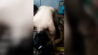 Desi Couple Making Love At Home Captured On Their Hidden Camera