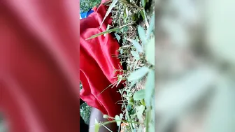 Village Gf Getting Fucked Outdoors By Lover In Private Mms Clip