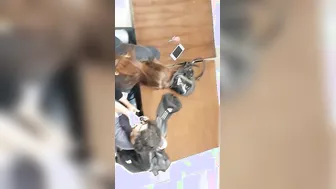 College GF Stroking Her BF During Lunch Break