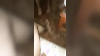 Indian Wife Sharing Her Body With Husband And His Boss Threesome