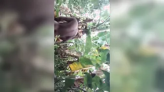 Desi Couple Fucking Outdoors In Risky Public Scandal Mms Leaked