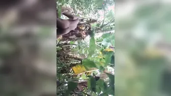 Desi Couple Fucking Outdoors In Risky Public Scandal Mms Leaked