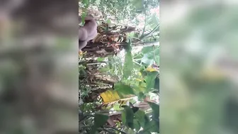 Desi Couple Fucking Outdoors In Risky Public Scandal Mms Leaked