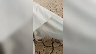 Mature Slut Servicing Two Men Outdoors Taking Both At Same Time