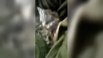 Tamil GF Fucking Her BF In Parked Car After Date