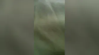 Tamil GF Fucking Her BF In Parked Car After Date