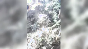 Tribal Village Babe Getting Pounded Outdoors Caught On Hidden Cam