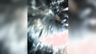 Village Couple From Tamil Nadu Fucking Raw In Leaked Outdoor Mms