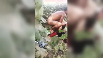 Dehati Couples Swapping Partners In Homemade Sex Scandal Video